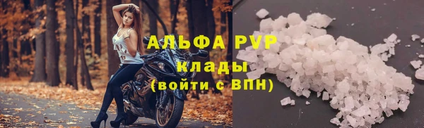 mdpv Богданович