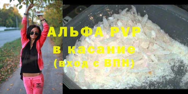 PSILOCYBIN Богородицк