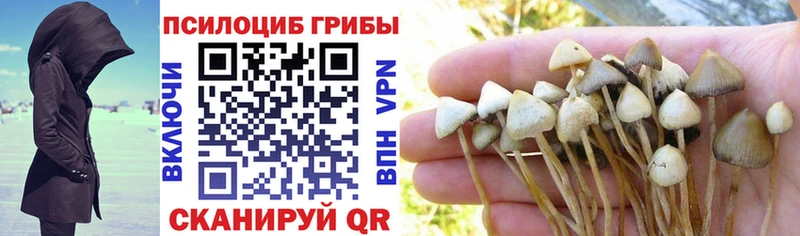 Псилоцибиновые грибы мицелий  МЕГА сайт  Афипский 